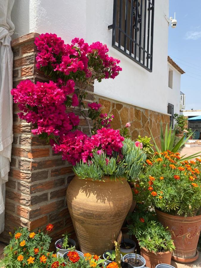 Cortijo Perejil, A Tranquil Mountain Escape & Private Pool Lejlighed Oria Eksteriør billede