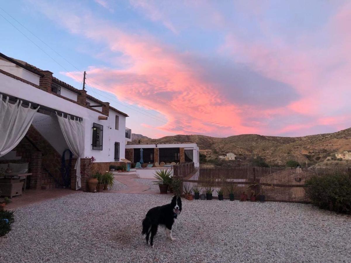 Cortijo Perejil, A Tranquil Mountain Escape & Private Pool Lejlighed Oria Eksteriør billede