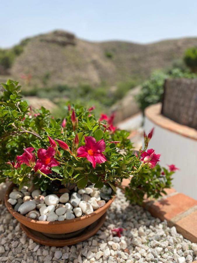 Cortijo Perejil, A Tranquil Mountain Escape & Private Pool Lejlighed Oria Eksteriør billede