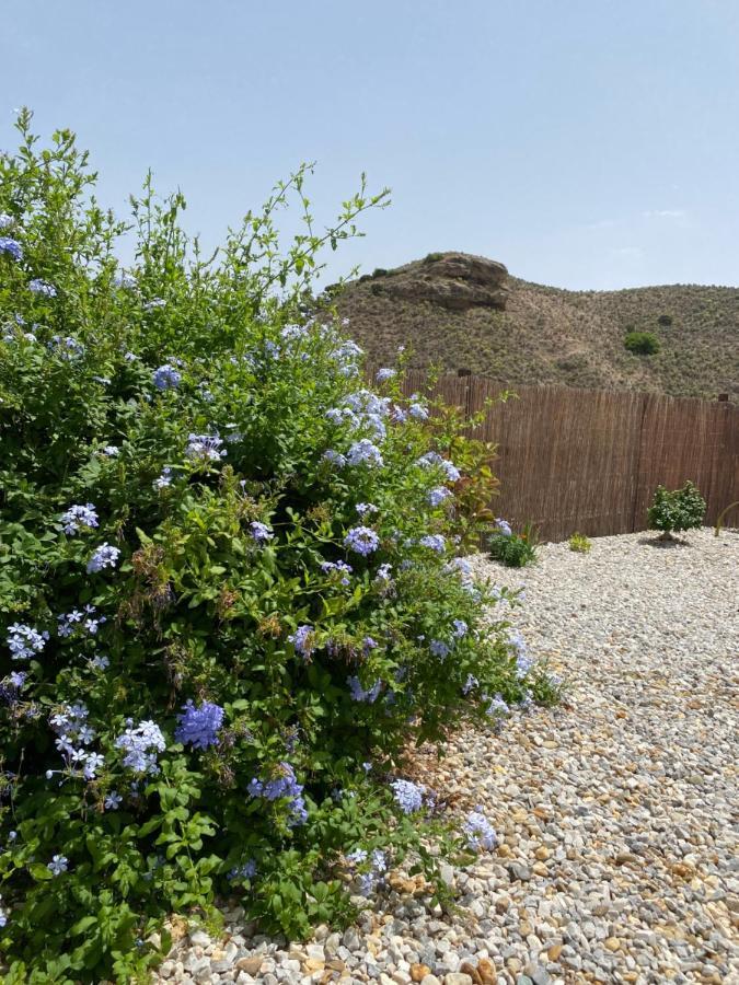 Cortijo Perejil, A Tranquil Mountain Escape & Private Pool Lejlighed Oria Eksteriør billede