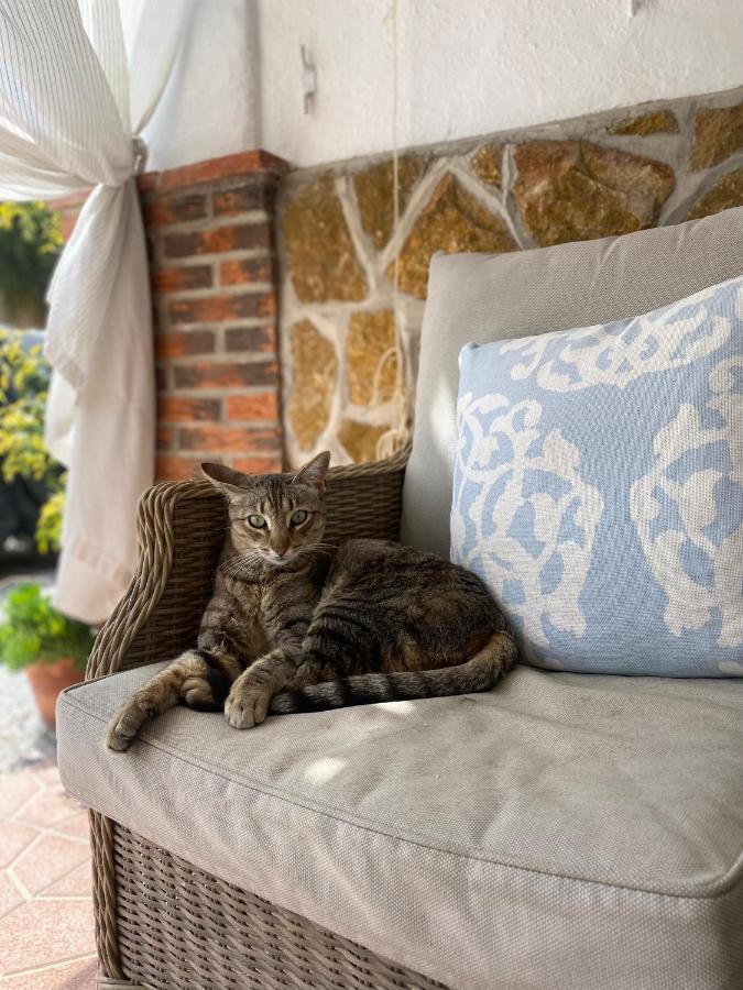 Cortijo Perejil, A Tranquil Mountain Escape & Private Pool Lejlighed Oria Eksteriør billede
